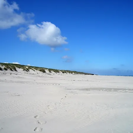 Haus Delft Ilmenau Juist